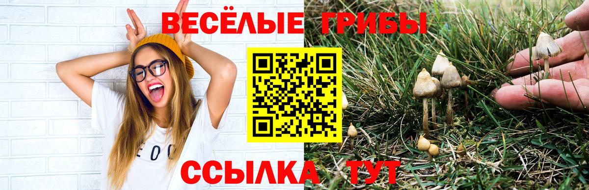 Галлюциногенные грибы ЛСД Саки